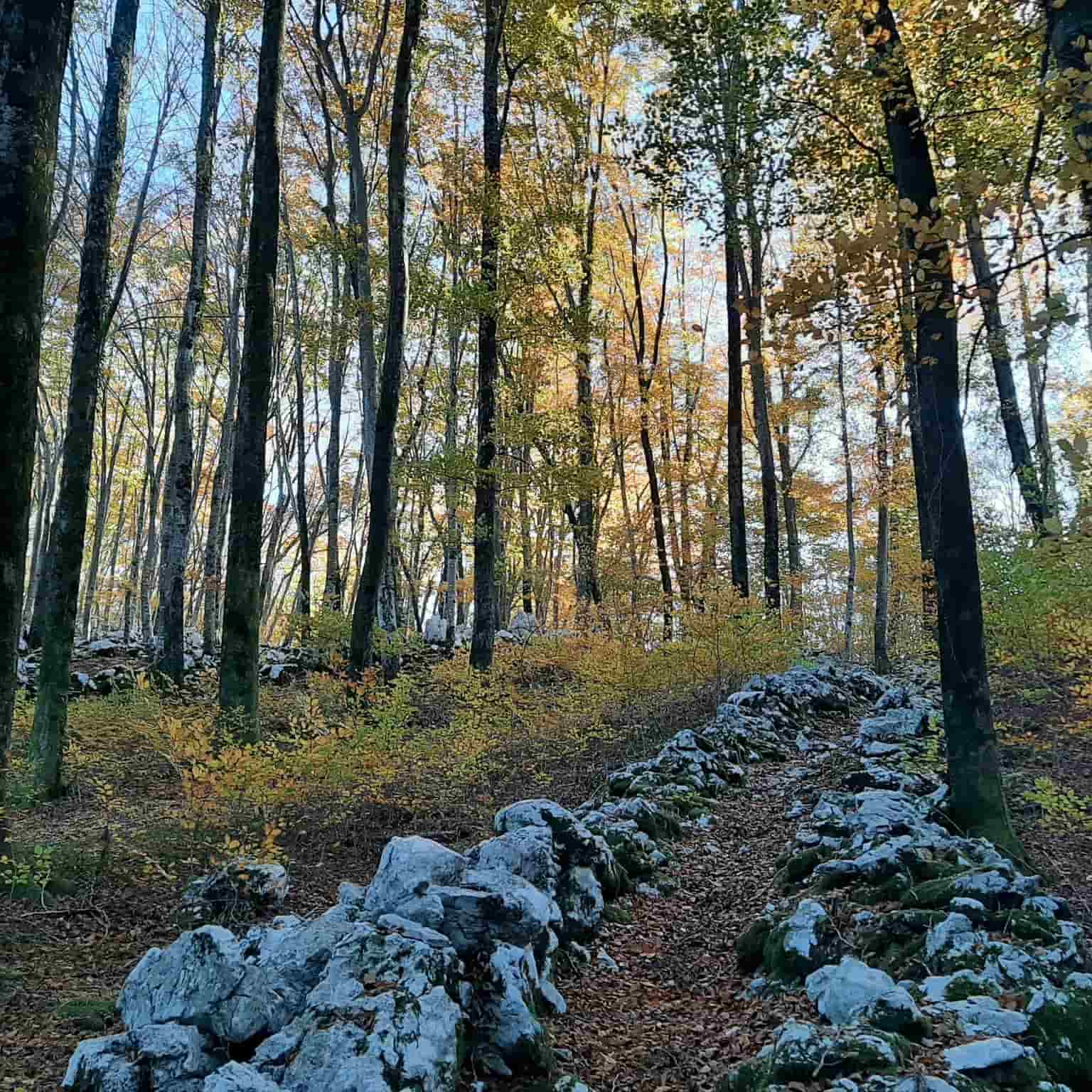 Escursione di trekking culturale e spirituale lungo il Cammino di San Cristoforo. Percorso nella pedemontana tra Arzino e  Tagliamento
